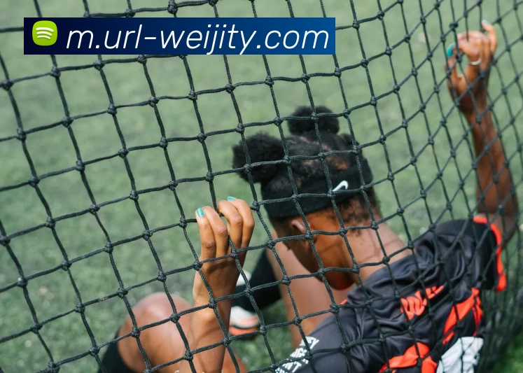 维基体育平台生态图