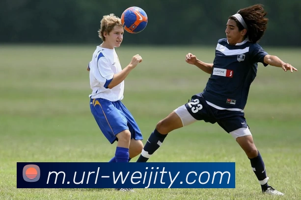 维基体育APP 封面图